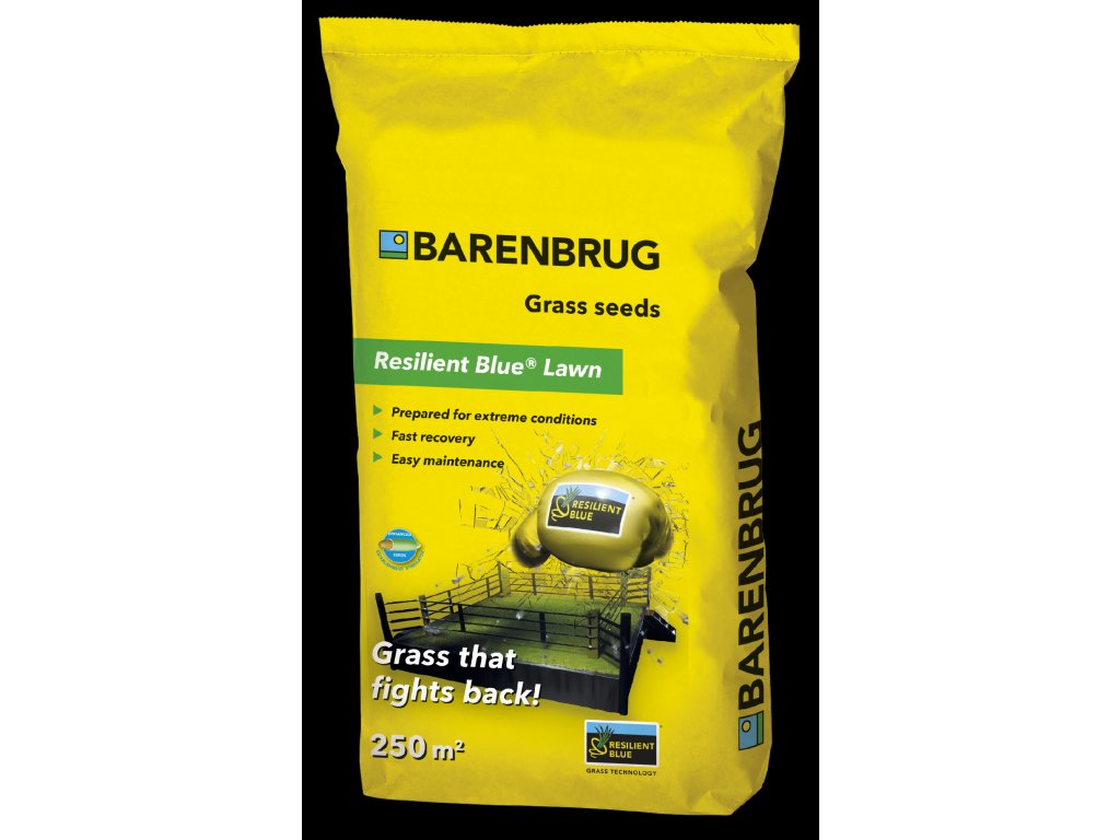BARENBRUG RESILIENT BLUE LAWN